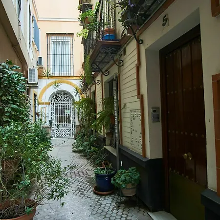 Coqueto Duplex En Zona Alfalfa * Seville